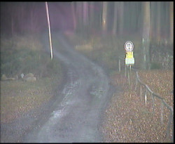 Nástup na běžecké tratě