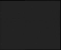 Nástup na běžecké tratě