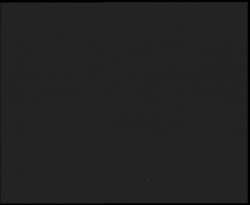 Nástup na běžecké tratě