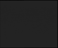 Nástup na běžecké tratě