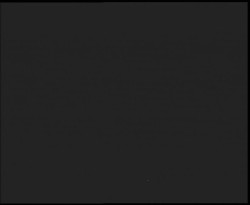 Nástup na běžecké tratě