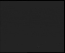 Nástup na běžecké tratě