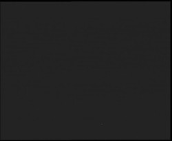 Nástup na běžecké tratě