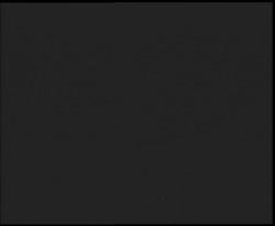 Nástup na běžecké tratě