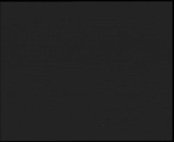 Nástup na běžecké tratě