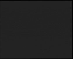 Nástup na běžecké tratě