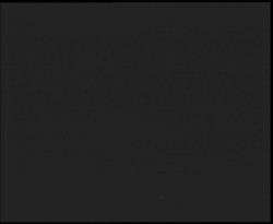 Nástup na běžecké tratě