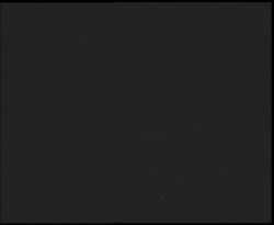 Nástup na běžecké tratě