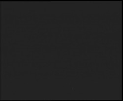 Nástup na běžecké tratě