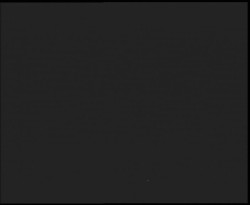 Nástup na běžecké tratě