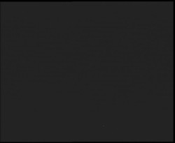 Nástup na běžecké tratě