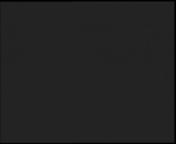 Nástup na běžecké tratě