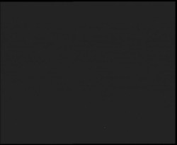 Nástup na běžecké tratě