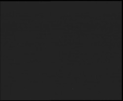 Nástup na běžecké tratě