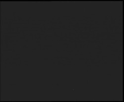 Nástup na běžecké tratě