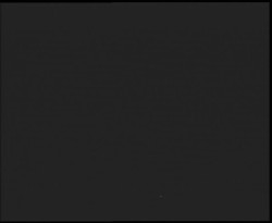 Nástup na běžecké tratě