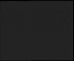 Nástup na běžecké tratě