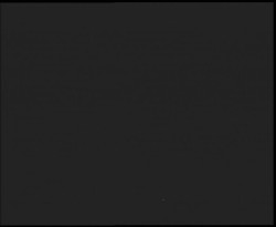 Nástup na běžecké tratě