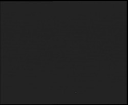 Nástup na běžecké tratě