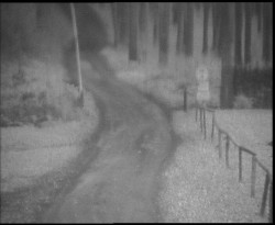 Nástup na běžecké tratě