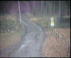 Nástup na běžecké tratě