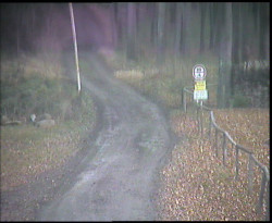 Nástup na běžecké tratě