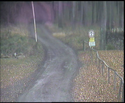 Nástup na běžecké tratě