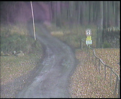 Nástup na běžecké tratě