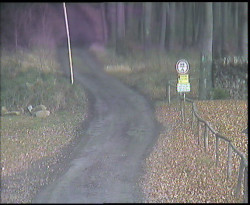 Nástup na běžecké tratě