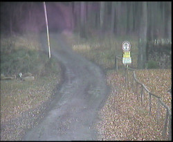 Nástup na běžecké tratě