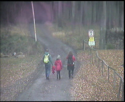 Nástup na běžecké tratě