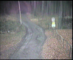 Nástup na běžecké tratě