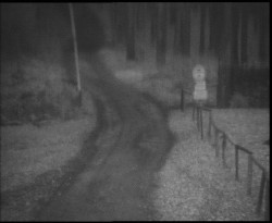 Nástup na běžecké tratě