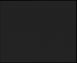 Nástup na běžecké tratě