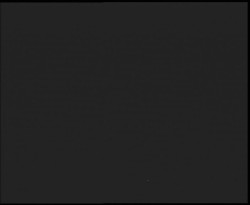 Nástup na běžecké tratě