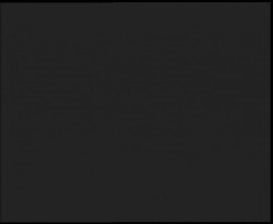 Nástup na běžecké tratě