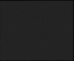 Nástup na běžecké tratě