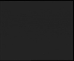 Nástup na běžecké tratě