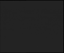 Nástup na běžecké tratě