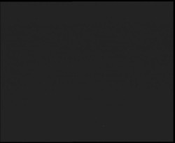 Nástup na běžecké tratě