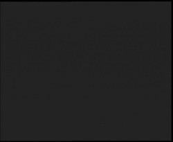 Nástup na běžecké tratě