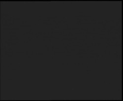 Nástup na běžecké tratě