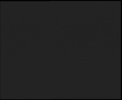 Nástup na běžecké tratě