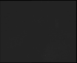 Nástup na běžecké tratě