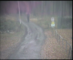 Nástup na běžecké tratě