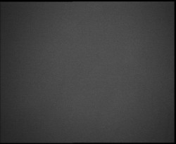 Nástup na běžecké tratě