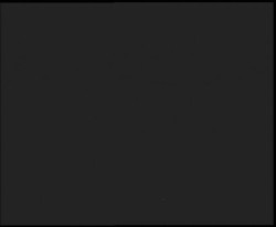 Nástup na běžecké tratě