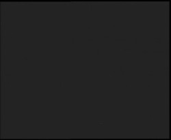 Nástup na běžecké tratě