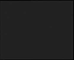 Nástup na běžecké tratě