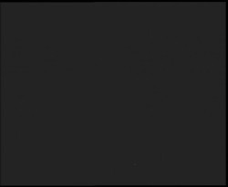 Nástup na běžecké tratě